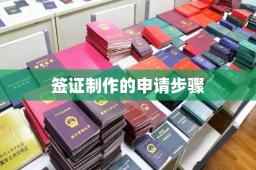 双牌签证制作的申请步骤